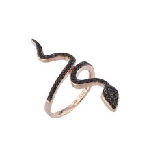 Fototapeta premium High End Jewelry