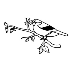 cute bird in the tree branch wildlife