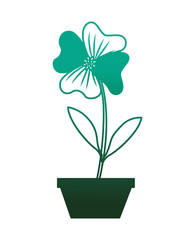 flower periwinkle in a pot decoration icon