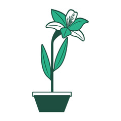 flower lily in a pot decoration icon