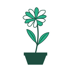 Obraz na płótnie Canvas flower daisy in a pot decoration icon
