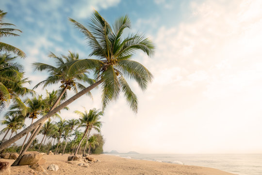 Vintage nature background - Landscape of coconut palm tree on tropical beach in summer. Summer background concept. retro instagram filter effect