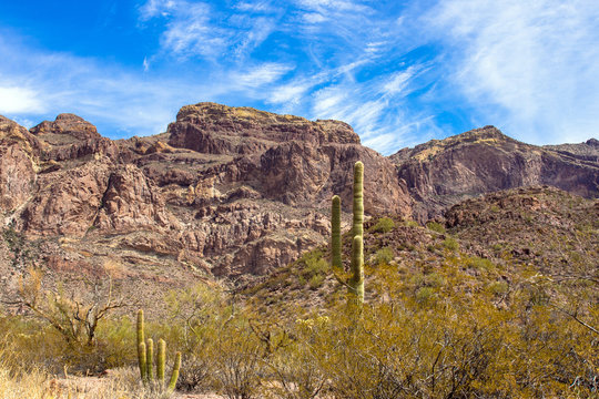 Rugged landscape of the Ajo Mountains in Organ Pipe Cactus National Monument in southern Arizona, as seen from Ajo Mountain Drive