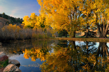 Obraz premium Pond Reflections At Rock Ledge Ranch 2