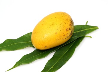 Thai yellow  sweet mango fruit