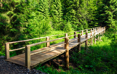 small wooden bridge among the forest