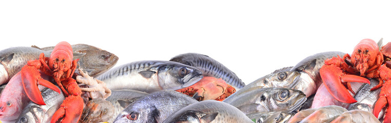 A collection of seafood for every taste