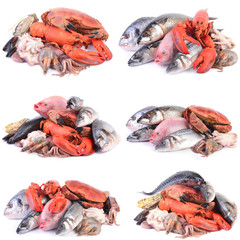 Seafood for every taste