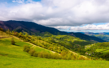 Fototapeta na wymiar grassy fields in mountainous rural area. lovely springtime scenery on a cloudy day