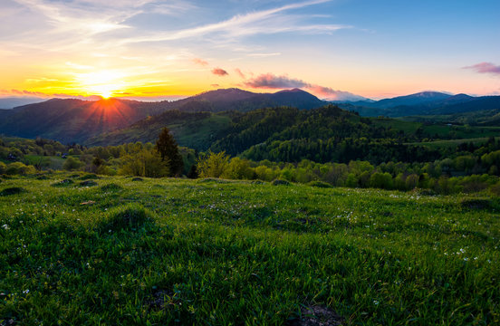 sunset in mountainous countryside. beautiful landscape of Carpathian mountains with grassy meadow, forested hills and blue sky with purple clouds