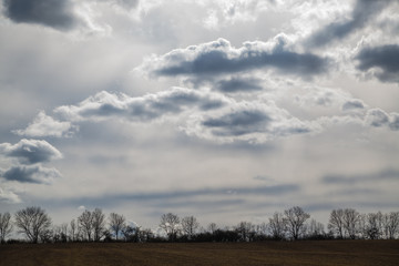 Obraz premium Landschaft im Frühling
