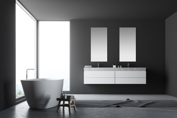 Fototapeta na wymiar Panoramic gray bathroom, double sink