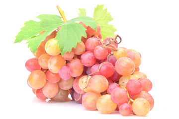 Grape fruit