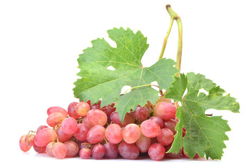 Grape fruit