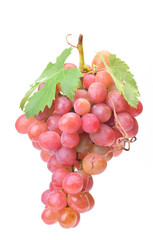 Grape fruit