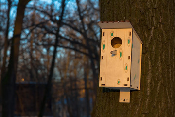 nesting box on tree and blue sky background.  new birdhouse