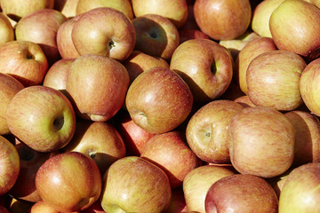 apples in the market