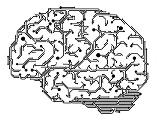 Digital Brain Illustration