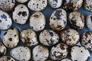 Obraz premium background of quail eggs in shell