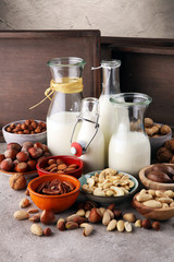 Alternative types of milks. Vegan substitute dairy milk.