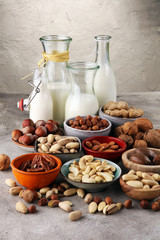 Alternative types of milks. Vegan substitute dairy milk.