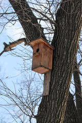 A wooden birdhouse affixed to a tree trunk