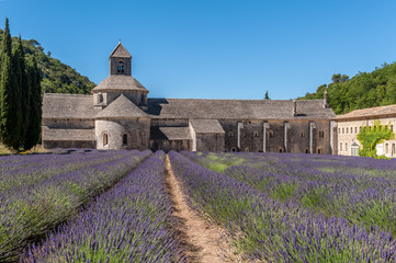 Abtei Senanque in der Provence