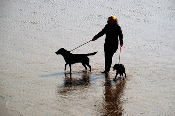 Silhouettes of groups of people walking on bright sunlit beach at low tide.