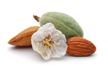 Almond