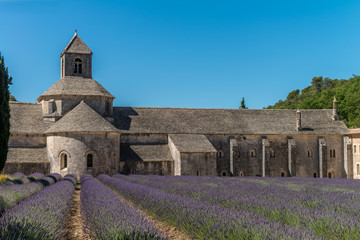 Abtei Senanque in der Provence
