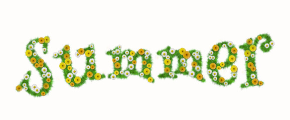 Summer, text word written in flowers, marigolds and daisies.