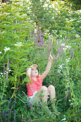 The girl is blonde among the tall flowering herbs in the summer.