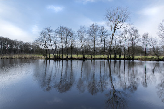 Dutch pond with tree reflections