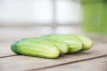 close up fresh green cucumber.