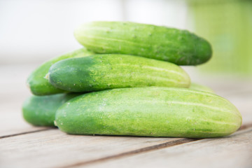close up fresh green cucumber.