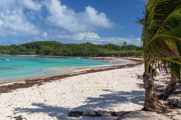 Anse à l'Eau (translation: Water Cove) - beautiful cove with turquoise water in Guadeloupe, Caribbean
