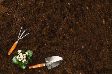 Gardening tools on fertile soil texture background seen from above, top view. Gardening or planting concept. Working in the spring garden.