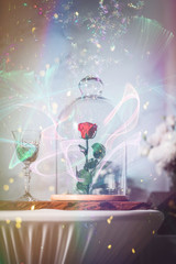 A enchanted rose in the glass covering.