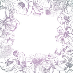 Fototapeta na wymiar Frame with hand drawn graphic and gradient sketch with summer flowers for flower garden. Papaver, echinacea, iris, ajuga, sedum, eupatorium. Vector illustration.