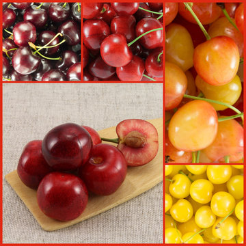 Collage from different varieties of sweet cherry - square