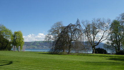 Fototapeta na wymiar Springtime in Switzerland - Zuggersee Cham Villette park