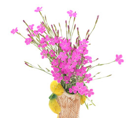 Pink flowers in a vase.
