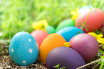 Easter sunday, happy easter, colorful easter eggs hunt holiday decorations easter concept backgrounds with copy space