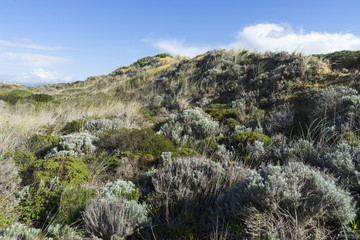 Felsküste am Atlantik im Parque Natural do Sudoeste Alentejano e Costa Vicentina, Algarve, Portugal, Europa
