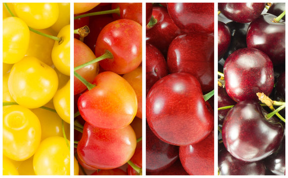 Collage from different varieties of sweet cherry - rectangle