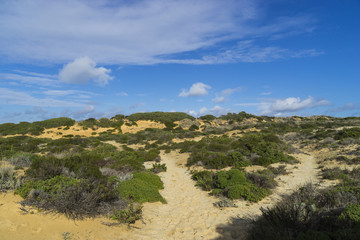 Felsküste am Atlantik im Parque Natural do Sudoeste Alentejano e Costa Vicentina, Algarve, Portugal, Europa
