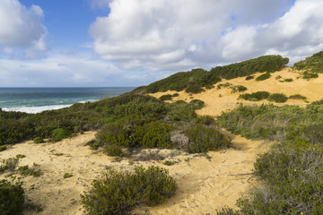 Felsküste am Atlantik im Parque Natural do Sudoeste Alentejano e Costa Vicentina, Algarve, Portugal, Europa