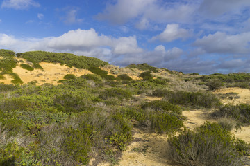 Fototapeta na wymiar Felsküste am Atlantik im Parque Natural do Sudoeste Alentejano e Costa Vicentina, Algarve, Portugal, Europa