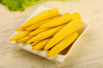 Young baby corn