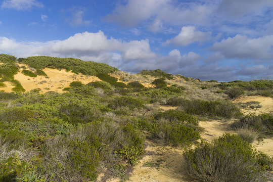 Felsk&uuml;ste am Atlantik im Parque Natural do Sudoeste Alentejano e Costa Vicentina, Algarve, Portugal, Europa